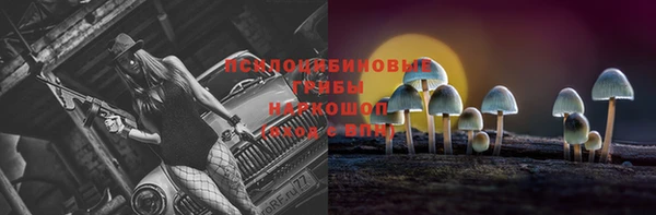 амфетамин Богородицк