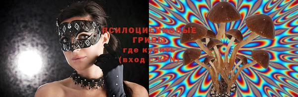 амфетамин Богородицк
