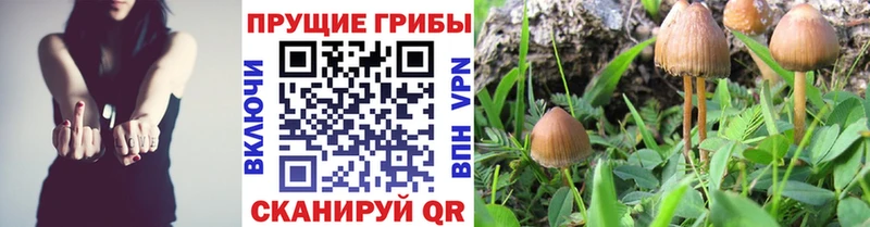 Галлюциногенные грибы мухоморы  купить закладку  Егорьевск 